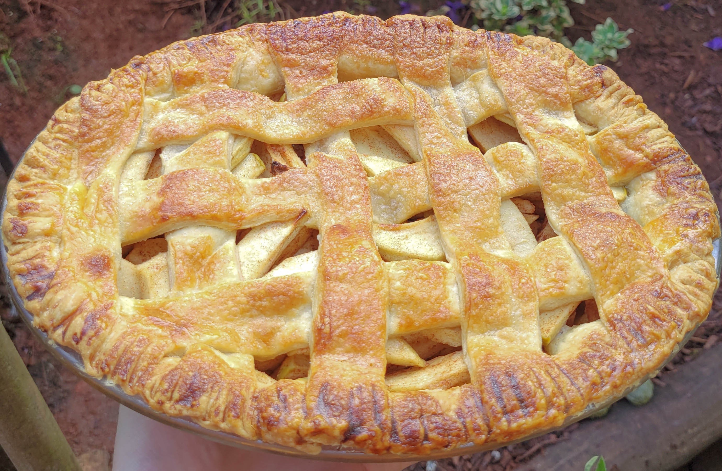 Image of apple pie.